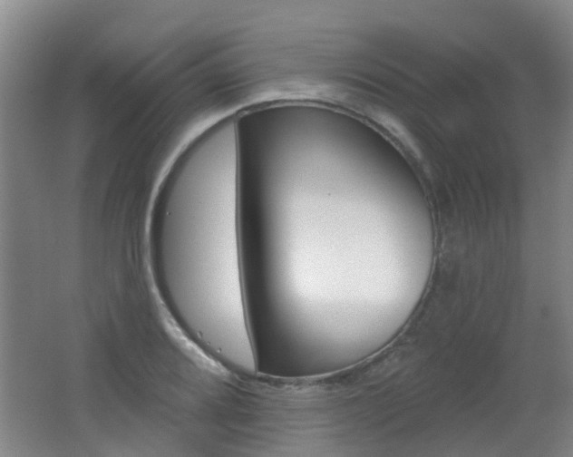 X0000062641080200512211001