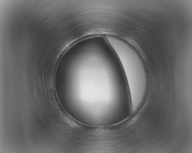 X0000062641081200512211001