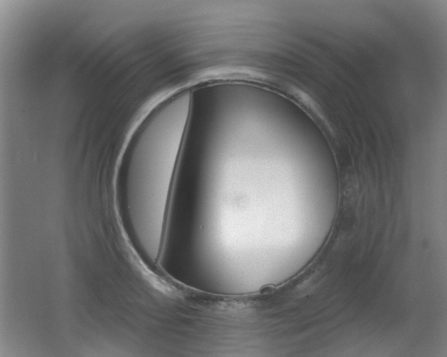 X0000062641082200512211001