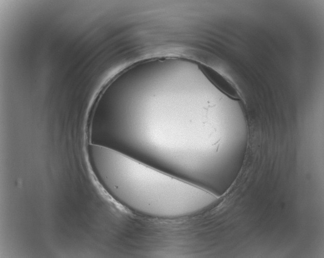 X0000062641088200512211001