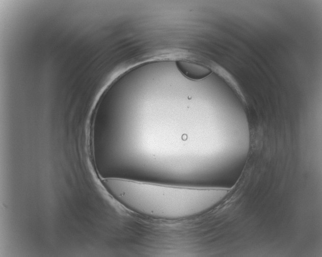 X0000062641099200512211001