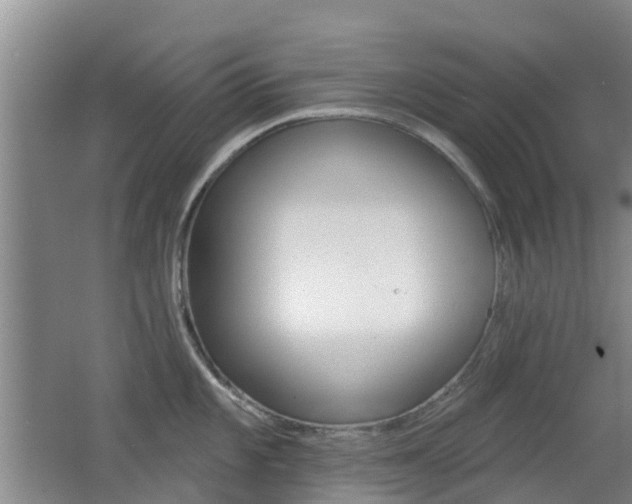 X0000062641101200512211001