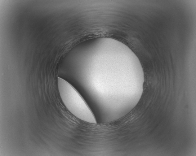 X0000062641106200512211000