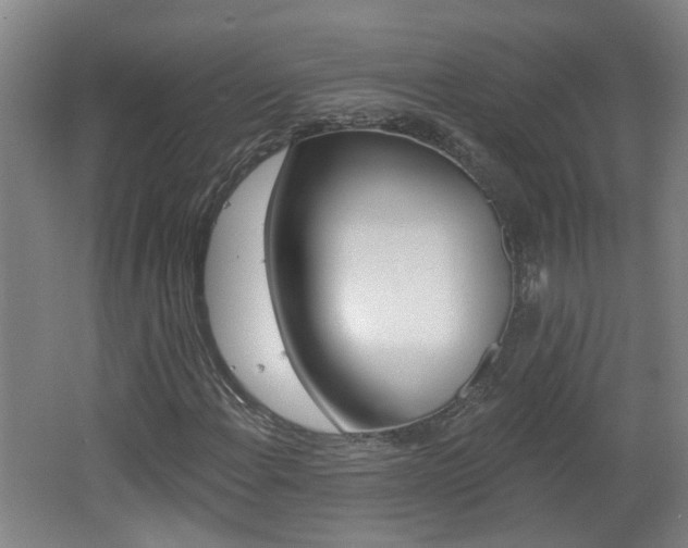 X0000062641108200512211000