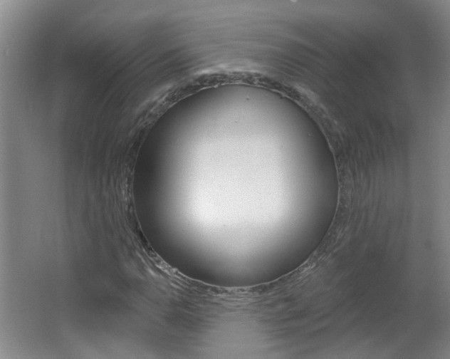 X0000062641110200512211000
