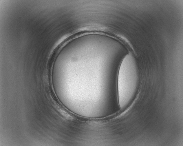 X0000062641114200512211000