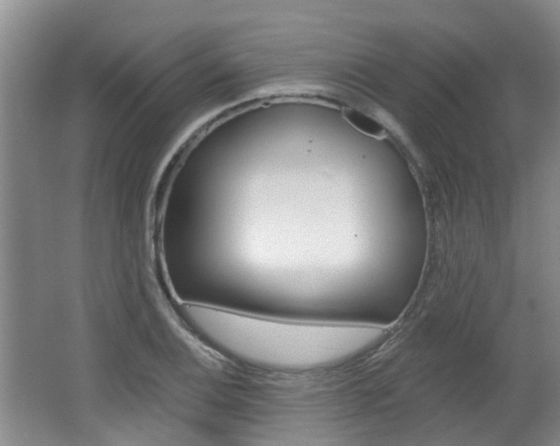 X0000062641124200512211000