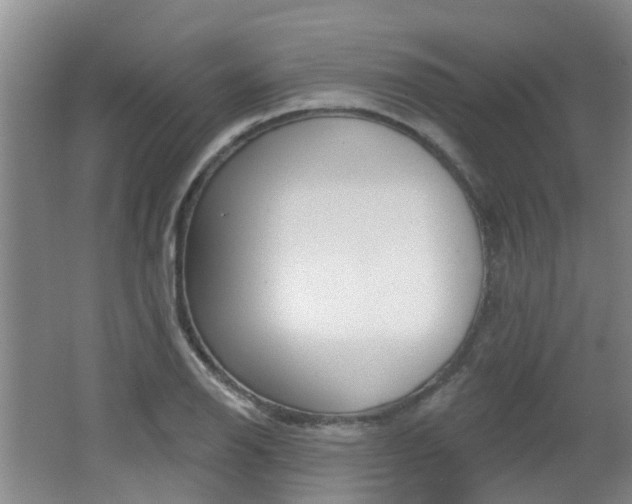 X0000062641126200512211000