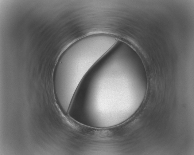 X0000062641129200512211000