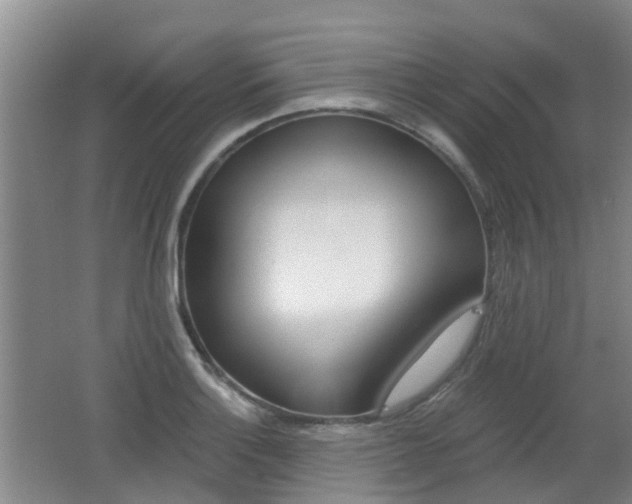 X0000062641132200512211000