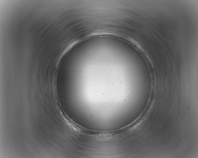 X0000062641137200512211000