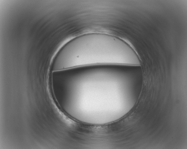 X0000062641139200512211000
