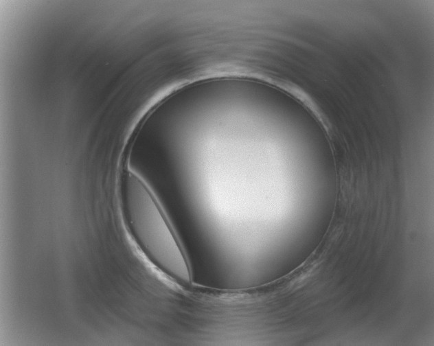 X0000062641142200512211000