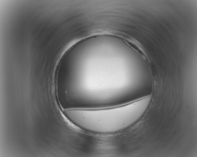 X0000062641143200512211000