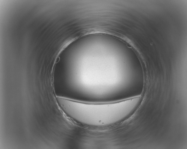 X0000062641145200512211000