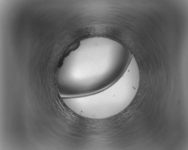X0000062641153200512211000