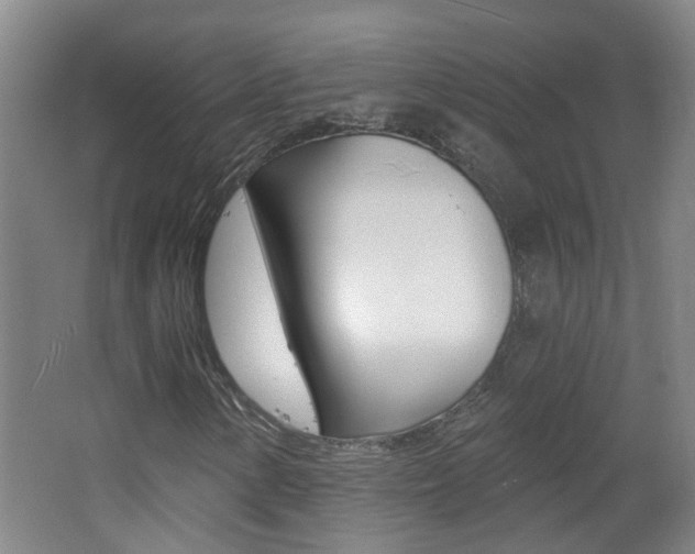 X0000062641154200512211000