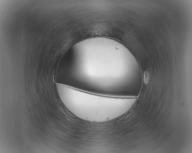 X0000062641155200512211000