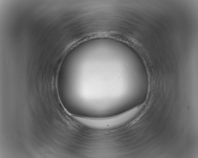 X0000062641161200512211000