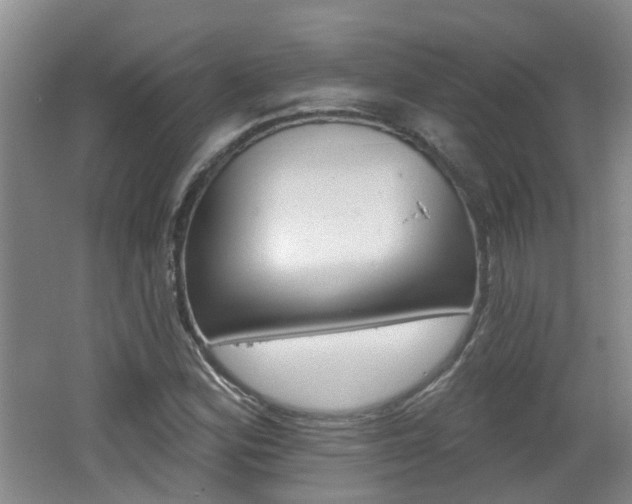 X0000062641164200512211000
