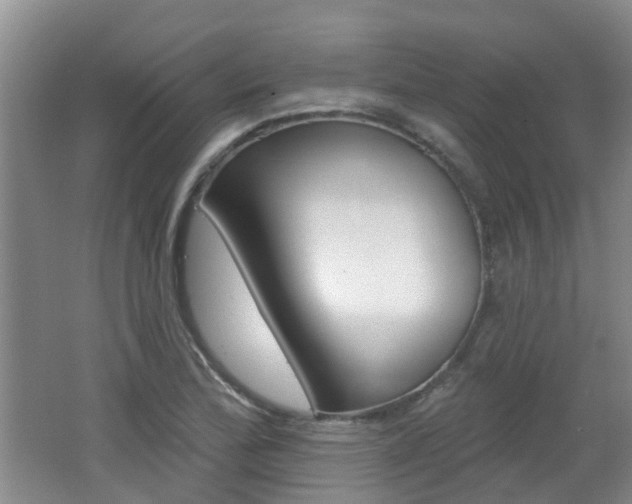 X0000062641172200512210959