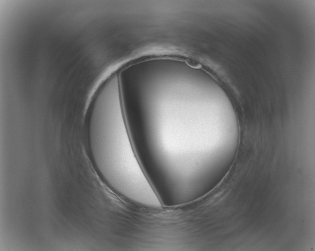 X0000062641175200512210959