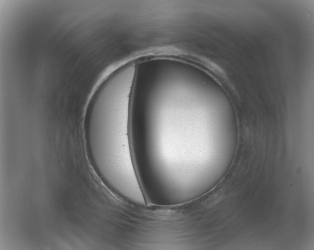 X0000062641176200512210959