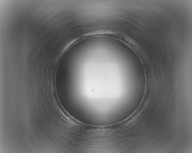 X0000062641177200512210959
