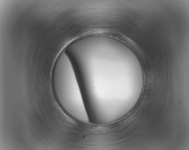 X0000062641178200512210959