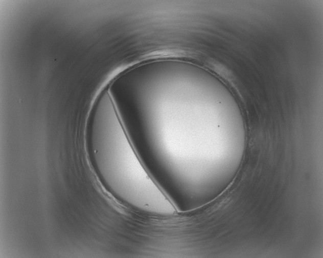 X0000062641179200512210959