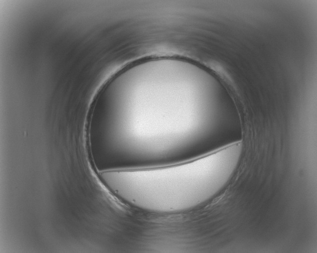 X0000062641183200512210959