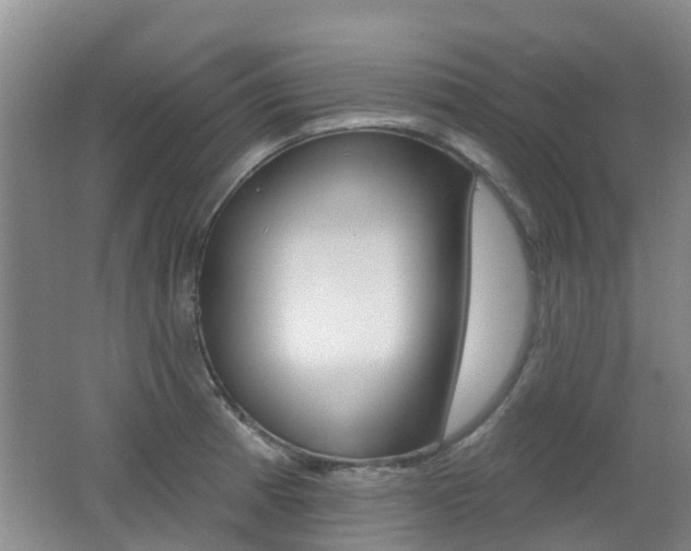 X0000062641185200512210959