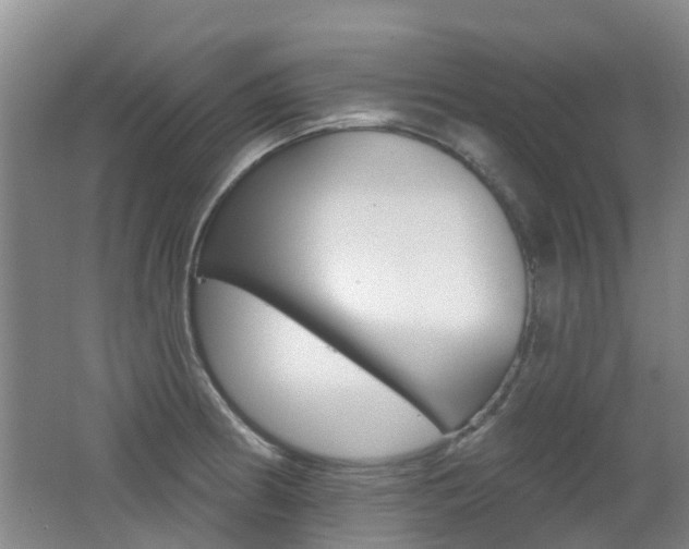 X0000062641186200512210959