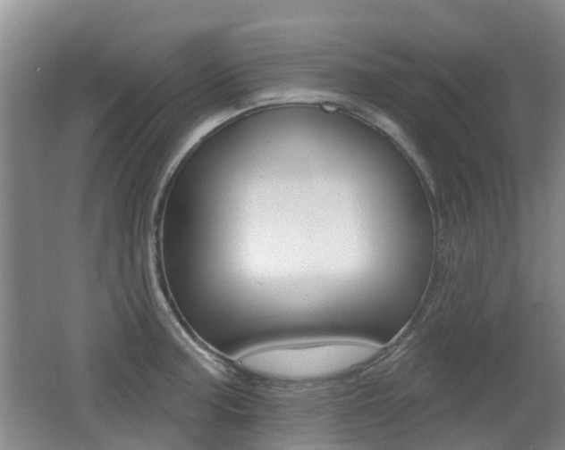 X0000062641187200512210959