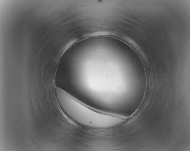X0000062641193200512210959