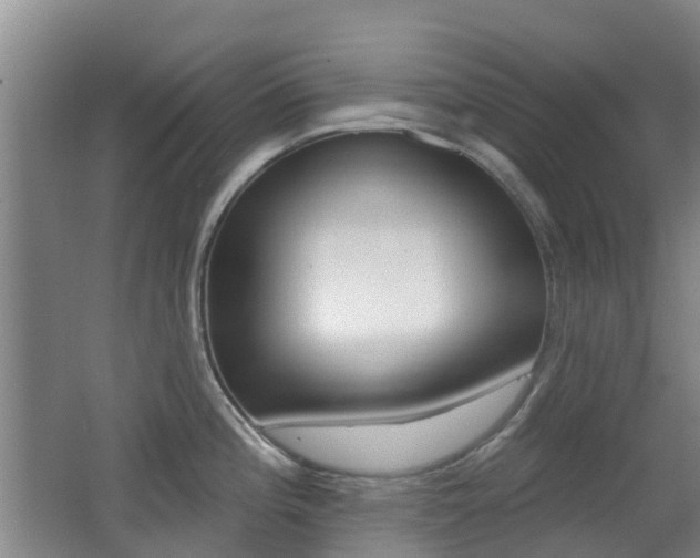 X0000062641196200512210959