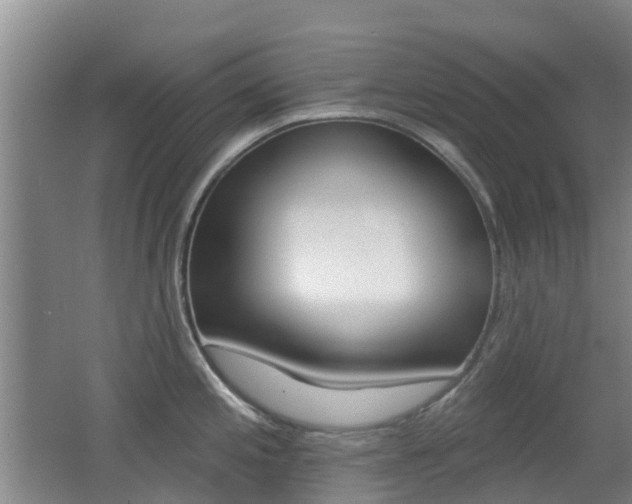 X0000062641197200512210959