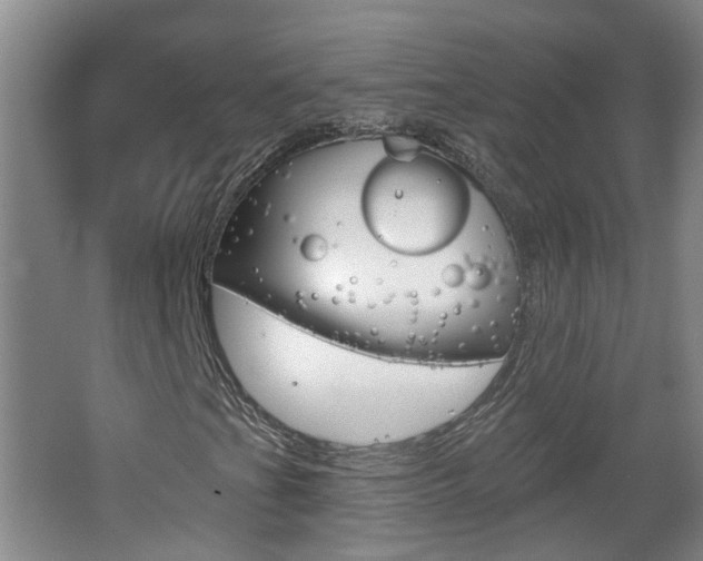 X0000062641201200512210958