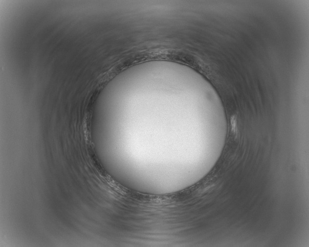 X0000062641203200512210958