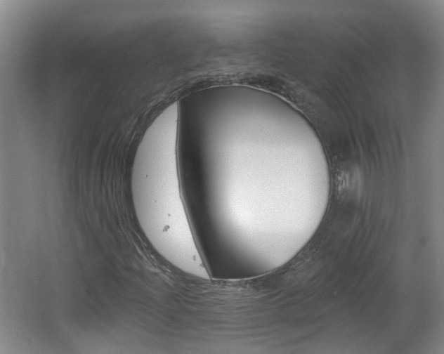 X0000062641204200512210958