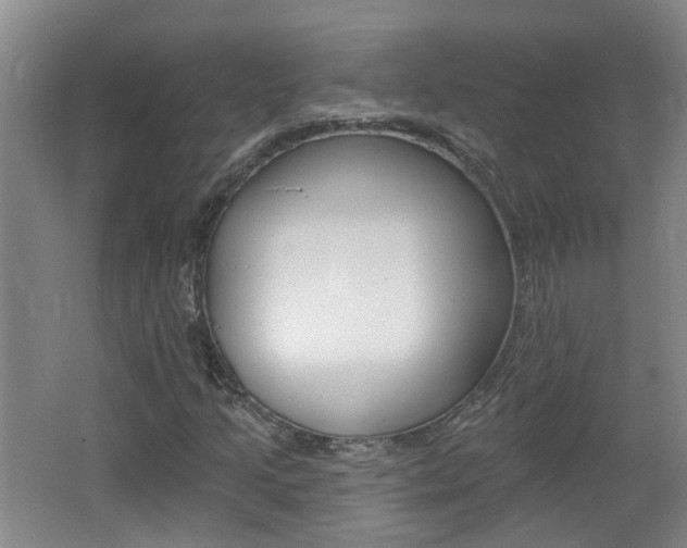 X0000062641205200512210958
