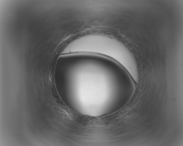 X0000062641206200512210958