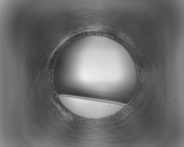 X0000062641208200512210958