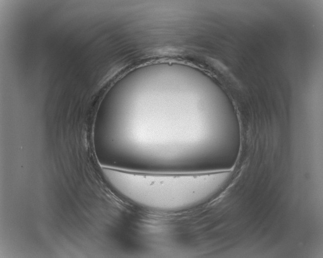 X0000062641209200512210958