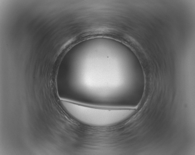 X0000062641210200512210958