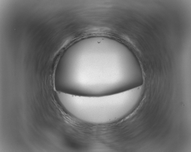 X0000062641211200512210958