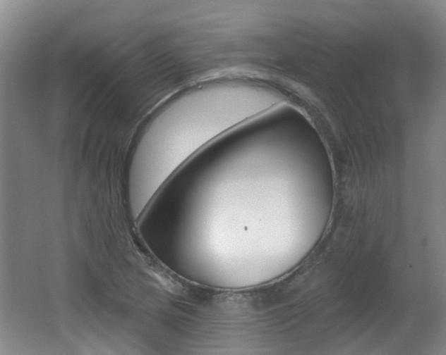 X0000062641217200512210958