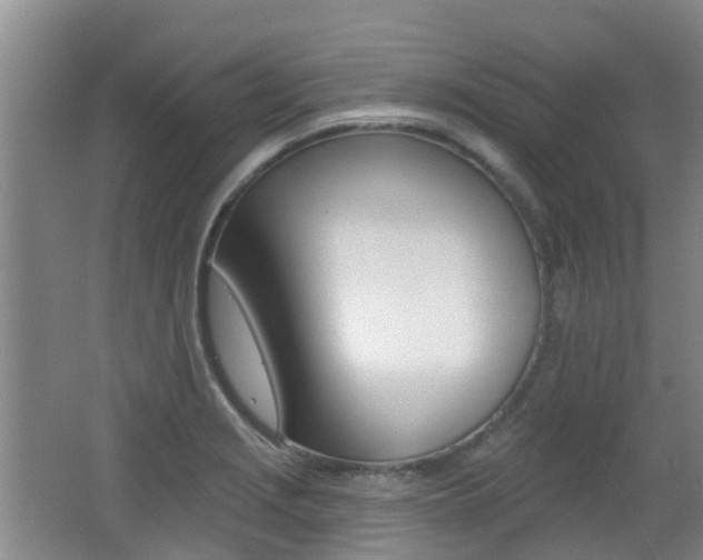 X0000062641229200512210959
