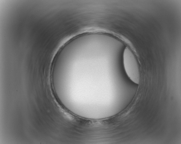 X0000062641231200512210959