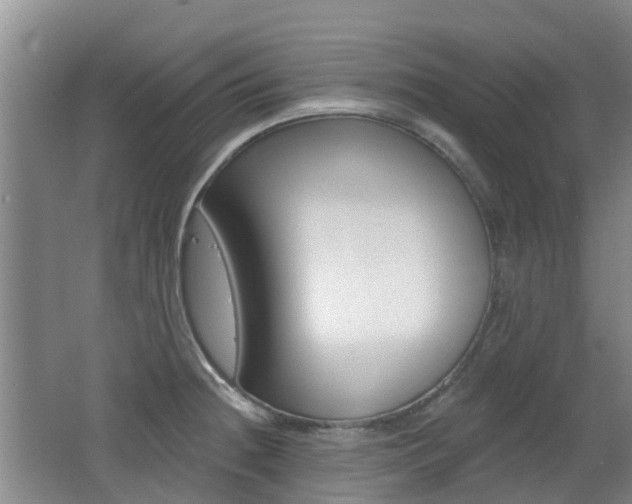 X0000062641236200512210959